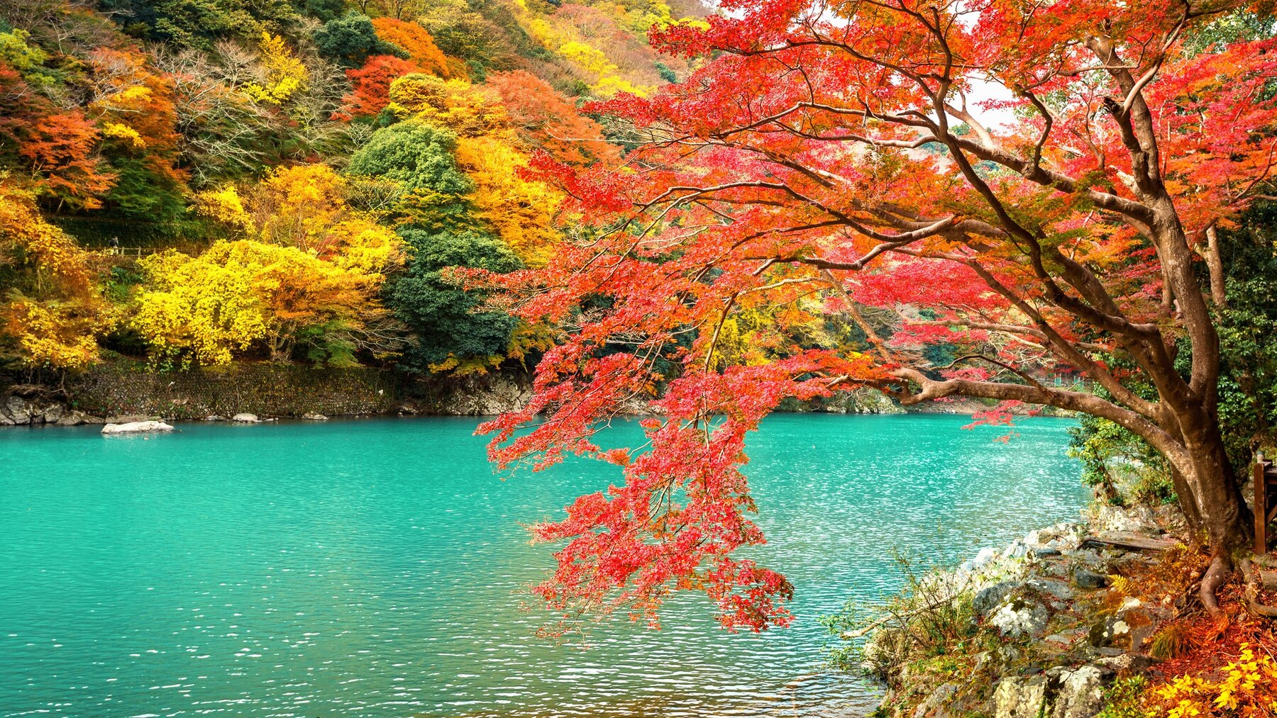 arashiyama-in-autumn-season-along-the-river-in-kyoto-japan_335224-24