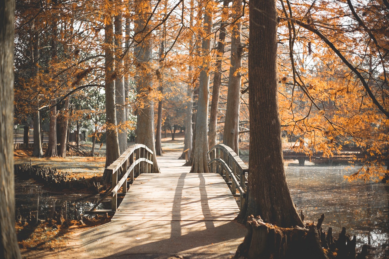 bridge-3013297_1280