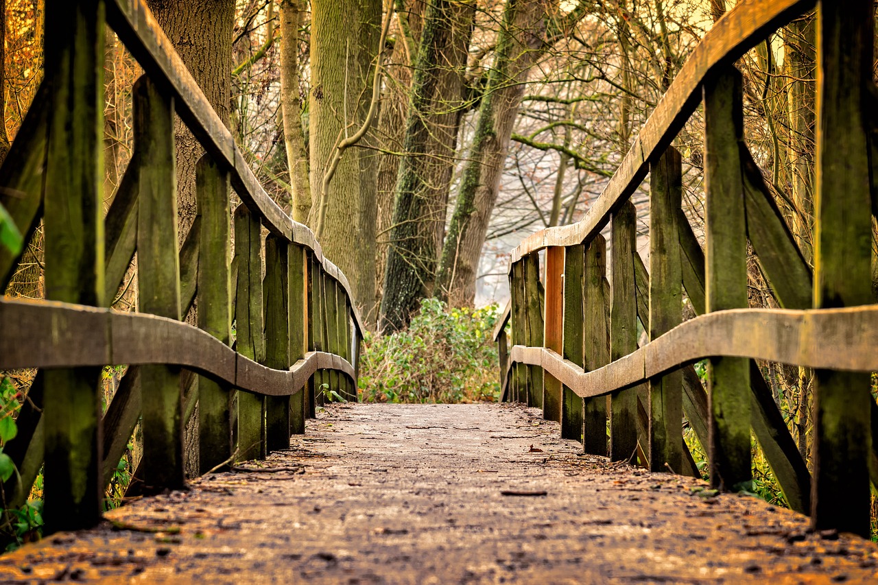 bridge-3024773_1280