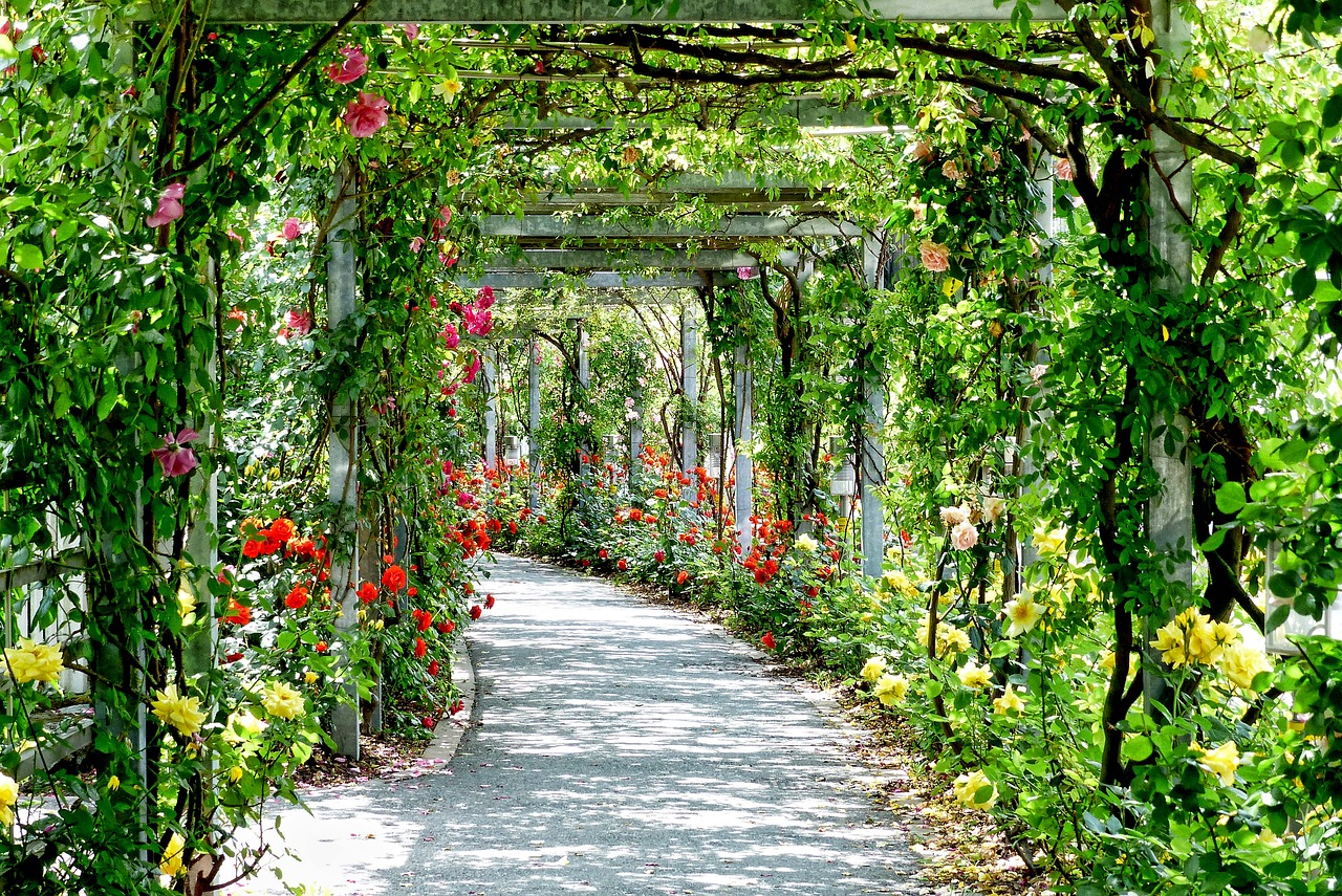 flowers-3112055_1280